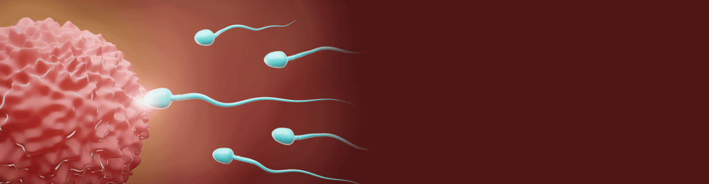 Sperm Selection with Microfluidic Chip Method