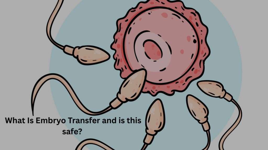 What Is Embryo Transfer and is this safe- full guide